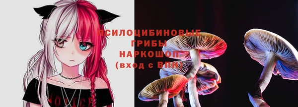 не бодяженный Ладушкин