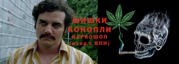 не бодяженный Ладушкин
