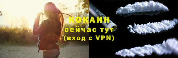 не бодяженный Ладушкин