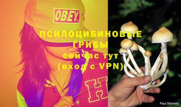 не бодяженный Ладушкин