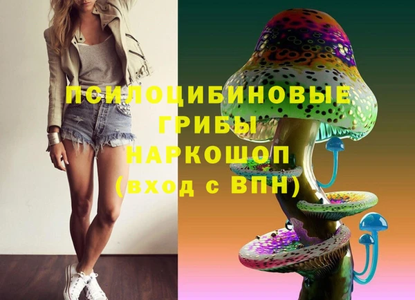 не бодяженный Ладушкин