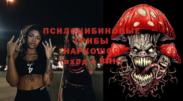 apvp Лагань