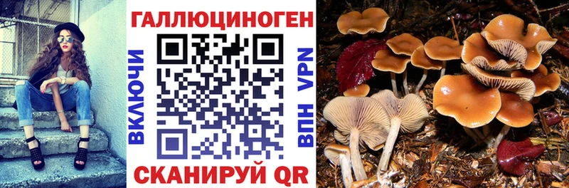 Купить где  Чапаевск  Галлюциногенные грибы прущие грибы 